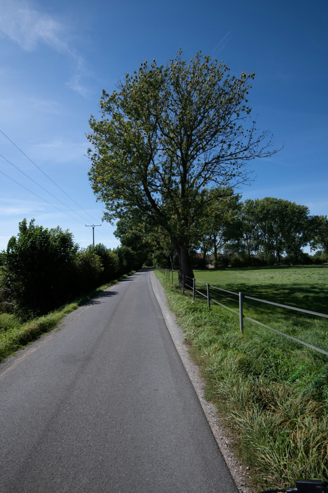 A country road through green fields under a clear blue sky