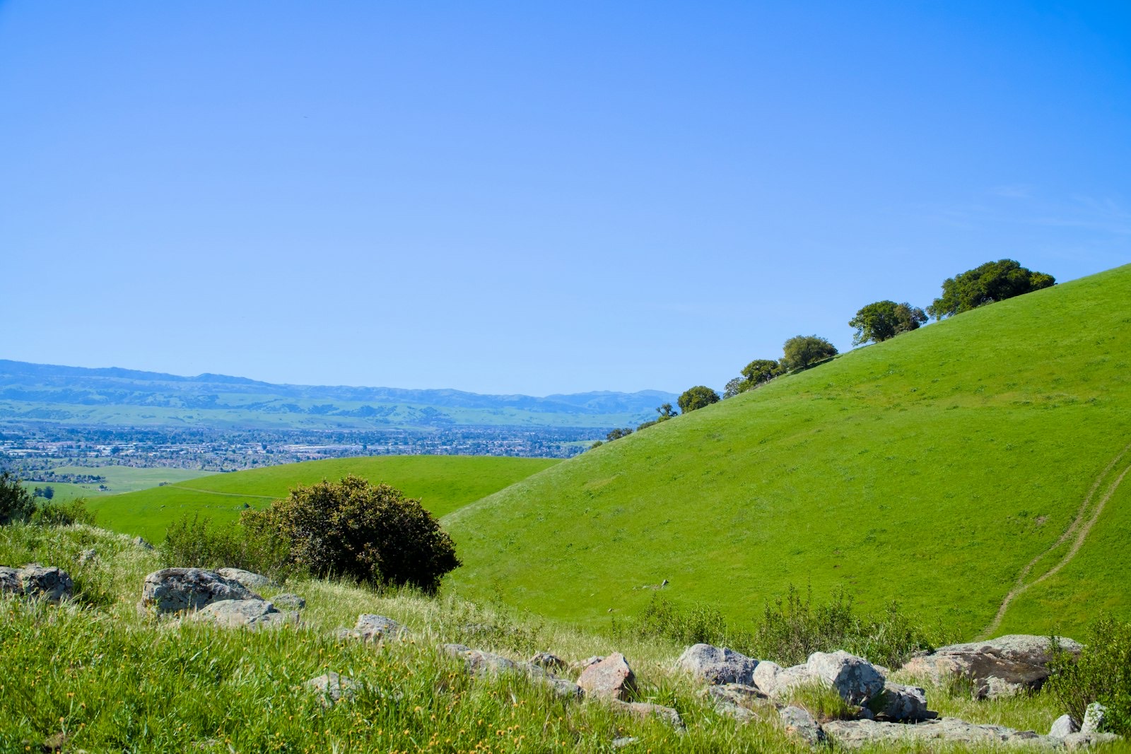 Lush green rolling hills under a bright clear blue sky